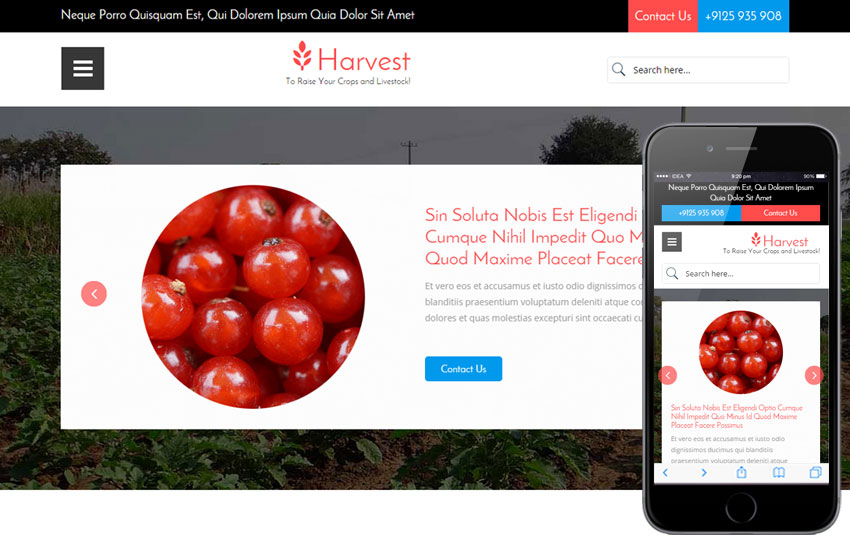 Harvest