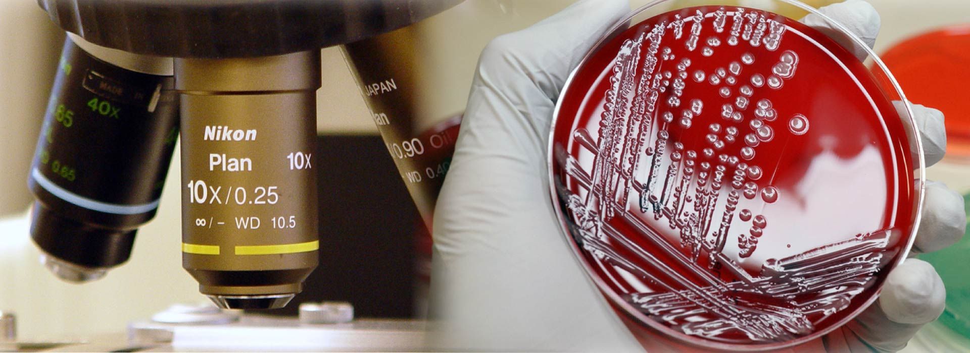 biological-contaminates